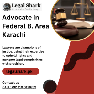 Advocate in Federal B. Area Karachi