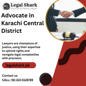 Advocate in Karachi Central District