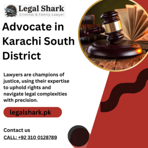 Advocate in Karachi South District