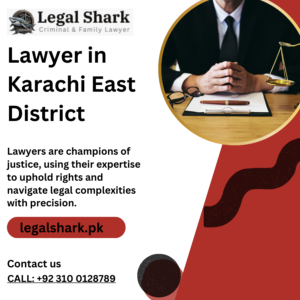 Lawyer in Karachi East District