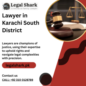 Lawyer in Karachi South District