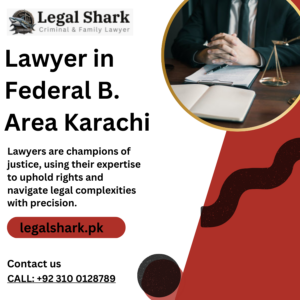 Lawyer in Federal B. Area Karachi