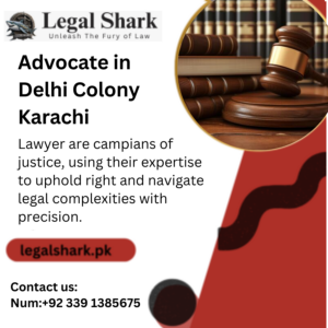 Advocate in Delhi Colony Karachi