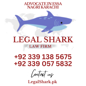 Advocate in Essa Nagri Karachi