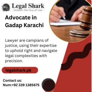 Advocate in Gadap Karachi