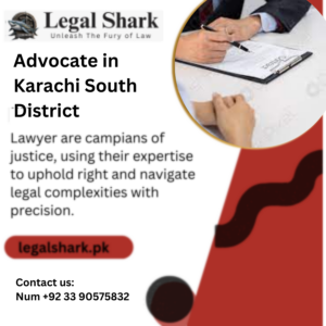 Advocate in Karachi South District