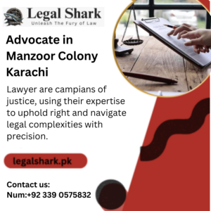 Advocate in Manzoor Colony Karachi