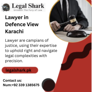 Lawyer in Defence View Karachi