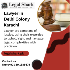 Lawyer in Delhi Colony Karachi