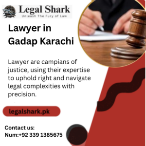 Lawyer in Gadap Karachi