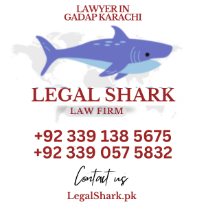 Lawyer in Gadap Karachi