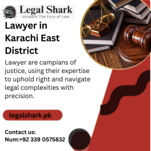 Lawyer in Karachi East District