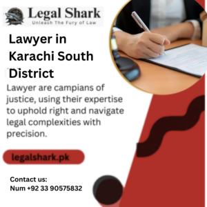 Lawyer in Karachi South District