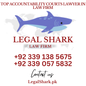 Top Accountability Courts Lawyer in Law Firm