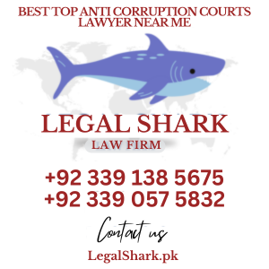 Top Anti Corruption Courts Lawyer Near Me