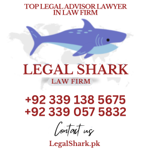 Top Legal Advisor Lawyer in Law Firm