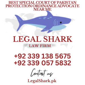 Best Special Court of Pakistan Protection Ordinance Advocate Near Me